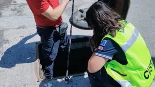 Scoperta dall'ADM a Cosenza una frode di 95mila euro nelle agevolazioni sul gasolio agricolo