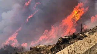Emergenza incendi: fiamme intorno alle case nel reggino e sei persone salvate nel crotonese
