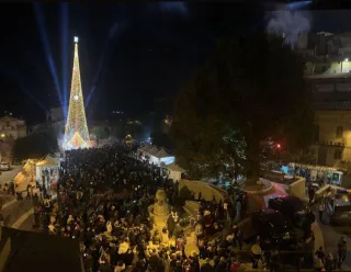 Albero solidale: nel Crotonese si concorre al Guinness dei Primati