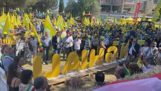 Cinghiali in Sila, Coldiretti: "Bene i "selecontrollori", avanti con il piano"