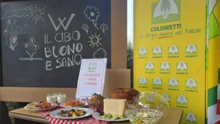 Mense scolastiche, Coldiretti Calabria contro Bruxelles: "Sì ai prodotti locali"