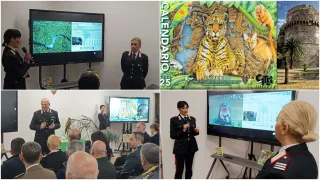 Report 2024 dei Carabinieri Forestale: in calo la superfice bruciata dei boschi