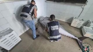 Guardia Costiera di Crotone, sequestrati 900 chili di tonno rosso