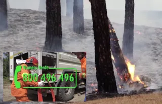 Lotta agli incendi, Oliva (Calabria verde): "Ecco come funziona la macchina di contrasto al fuoco"