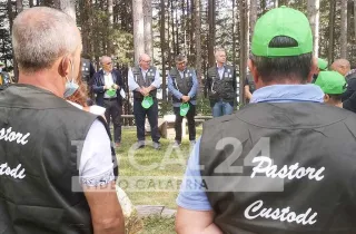 "Pastori custodi", gli allevatori assieme al Parco della Sila nella prevenzione degli incendi