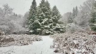 Primo fine settimana con la neve in Calabria