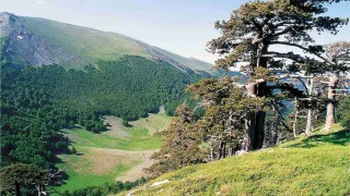 Escursionista dispersa sul Pollino: tratta in salvo dal Soccorso alpino