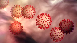 Coronavirus: secondo il prof. De Bartolo (Unical), i dati del contagio in Calabria sarebbero sottostimati