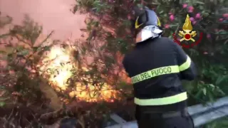 Incendi: il Comune di Reggio Calabria chiederà lo stato di calamità al Governo