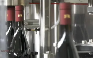 La scelta di Caparra & Siciliani: in tempo di pandemia investire in marketing e innovazione