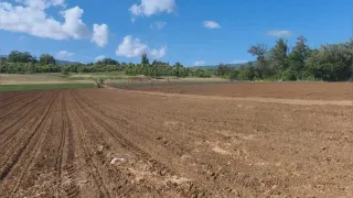 Laino Borgo, ripartono gli scavi archeologici nell’area di Santa Gada