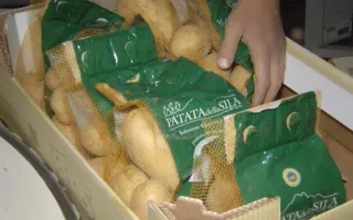 Dal campo al sacchetto, per la Patata della Sila Igp un sistema di tracciabilità unico e innovativo
