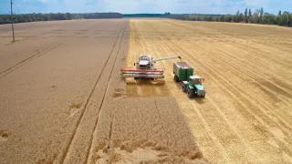Arcea Calabria, oltre 10 milioni di euro a sostegno di agricoltura e vitivinicoltura