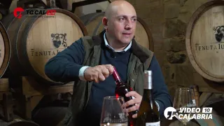 Vino, Tenuta Iuzzolini: «Strepitosa l'annata 2025»