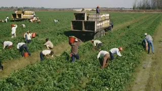 Agricoltura, CIA Calabria in stato di agitazione permanente