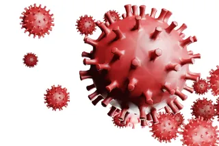 Coronavirus, in Calabria 116 nuovi casi positivi e 1 decesso: il bollettino della Regione