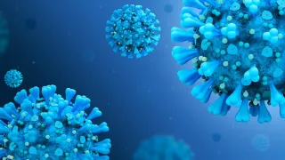 Coronavirus, in Calabria 72 nuovi casi positivi e 2 decessi: il bollettino della Regione del 4 ottobre