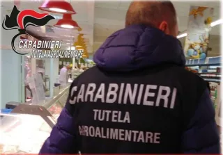 Truffa ai danni dell'UE: sequestrati beni per 163 mila euro nel Reggino da Procura Europea e Carabinieri