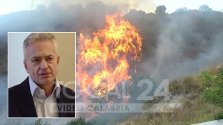 VIDEO | Incendi, Gallo: «La lotta sarà ancora più serrata»