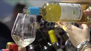 VINÒFORUM | Come valorizzare i vini calabresi