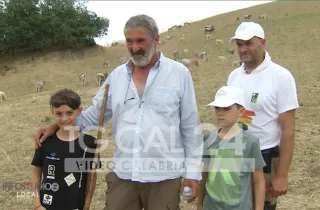 Da Marcedusa al monte Gariglione: qui la transumanza è un rito di famiglia