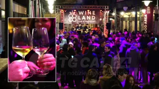 VIDEO | Vino e territorio: partita la terza edizione di "Wineland"