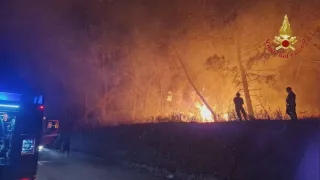Calabria assediata dagli incendi, oltre 200 interventi dei Vigili del Fuoco