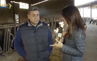 Il latte del Monte Poro, un prodotto di alta qualità ma pagato troppo poco