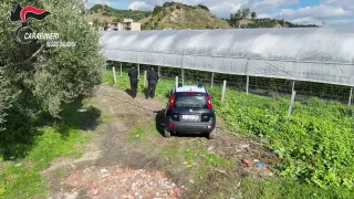 Serre abusive su 35mila metri quadrati a San Luca