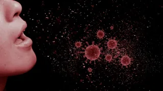 Coronavirus, in Calabria 92 nuovi casi positivi e 2 decessi: il bollettino della Regione dell'8 ottobre