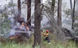 Emergenza incendi, Vigili del fuoco: "Da luglio oltre 6700 interventi"