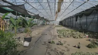 Aziende messe in ginocchio del maltempo: “In fumo il lavoro di anni”
