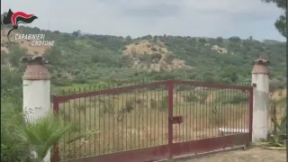 'Ndrangheta, 90 terreni restituiti ai legittimi proprietari nel Crotonese