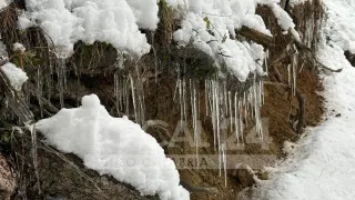 METEO | Arrivano i giorni della merla: fine gennaio particolarmente freddo