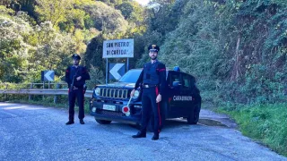 Piantagione di canapa a San Pietro di Caridà, 4 arresti