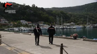Pesce venduto in pessime condizioni: blitz dei Carabinieri a Palmi
