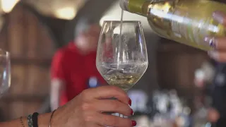 Torna il Merano Wine Festival, domani il via a Melissa