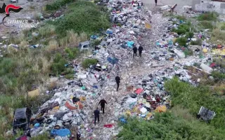 Rapporto Ecomafie 2021: la Calabria si colloca al quinto posto della classifica nazionale con 2.826 reati