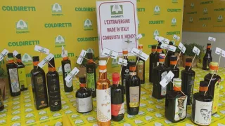 Coldiretti: più controlli per difendere l’olio calabrese