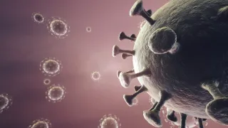 COVID | Gimbe: "Crollo dei vaccini. In Calabria il 12,9% della popolazione non ha ricevuto nessuna dose"