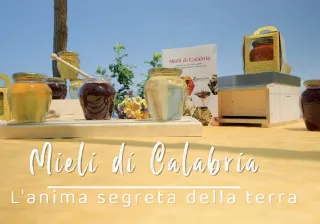 Mieli di Calabria, importante iniziativa il 2 dicembre alla Cittadella Regionale. Sarà presente l'assessore Gallo