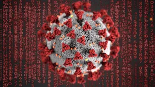 Coronavirus, in Calabria 296 nuovi casi positivi e 5 decessi: il bollettino della Regione del 9 settembre