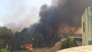 Maxi incendio nel Crotonese: in salvo due Vigili del Fuoco ed un civile (VIDEO+FOTO)