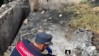 Bonifati, incendio devasta 10 ettari: Carabinieri denunciano un uomo