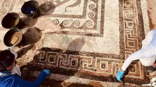 Il "Mosaico dei delfini" protagonista delle Giornate Fai