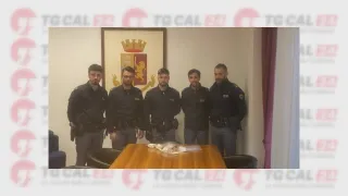 Nascondeva in casa oltre mezzo chilo di cocaina: arrestato 23enne