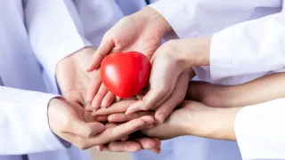 Scilla è il comune calabrese più generoso per la donazione degli organi