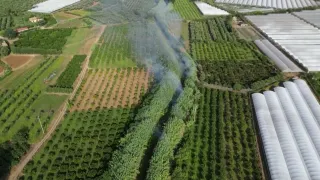 Antincendio, le strategie della Regione per il 2025