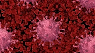 Coronavirus, in Calabria 25 nuovi casi positivi e nessun decesso: il bollettino della Regione