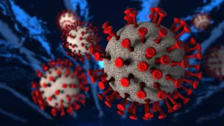 Coronavirus, in Calabria 161 nuovi casi positivi e 3 decessi: il bollettino della Regione del 3 novembre